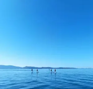 Paddlesurf