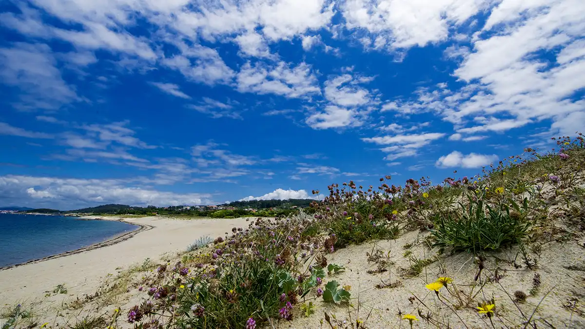 Strand A Mexiloeira