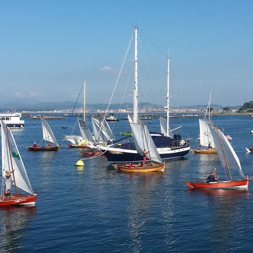 Regata de vela dornas