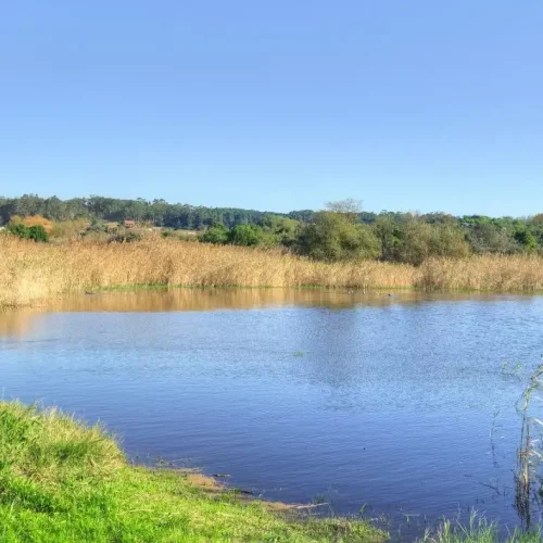 Laguna A Bodeira